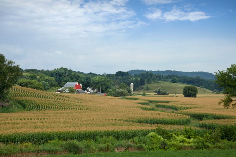 Distinct challenges and disparities impact rural communities